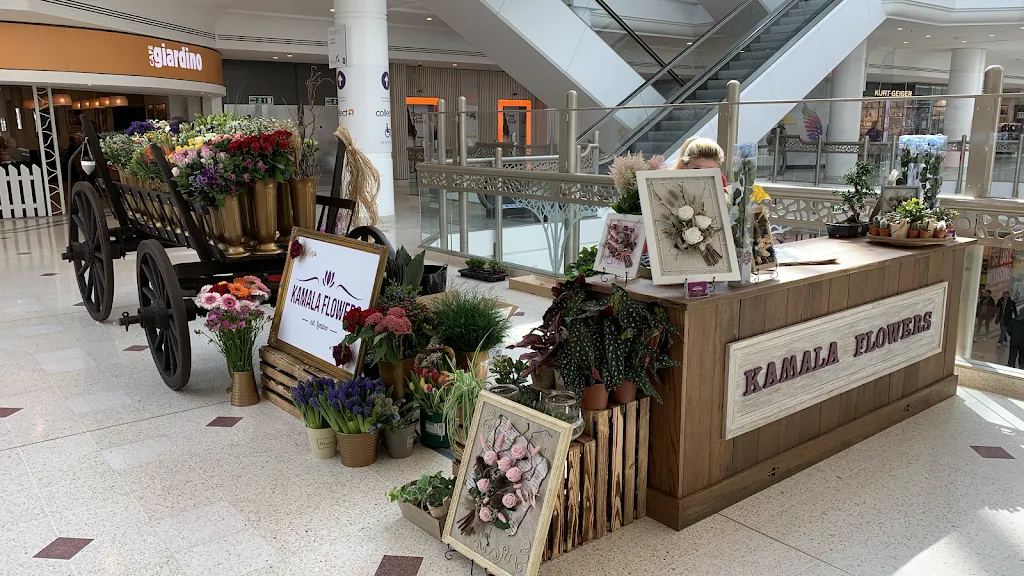 Kamala Flowers- Florist Store & Art
