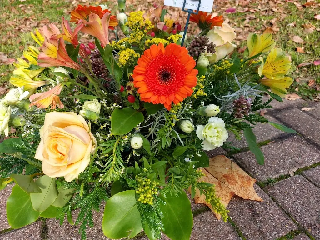 Kingston Wild Flowers Ltd