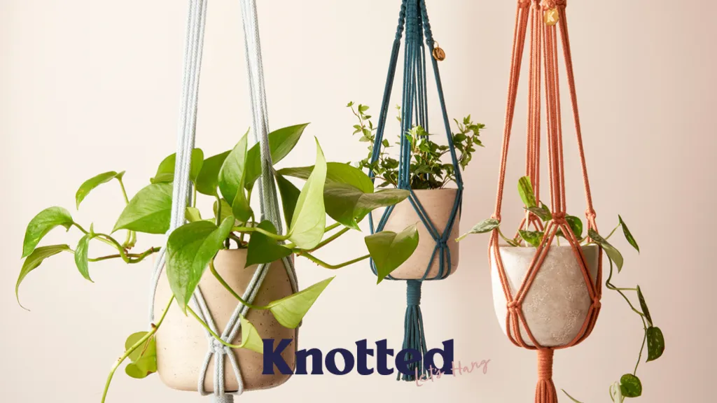 Knotted