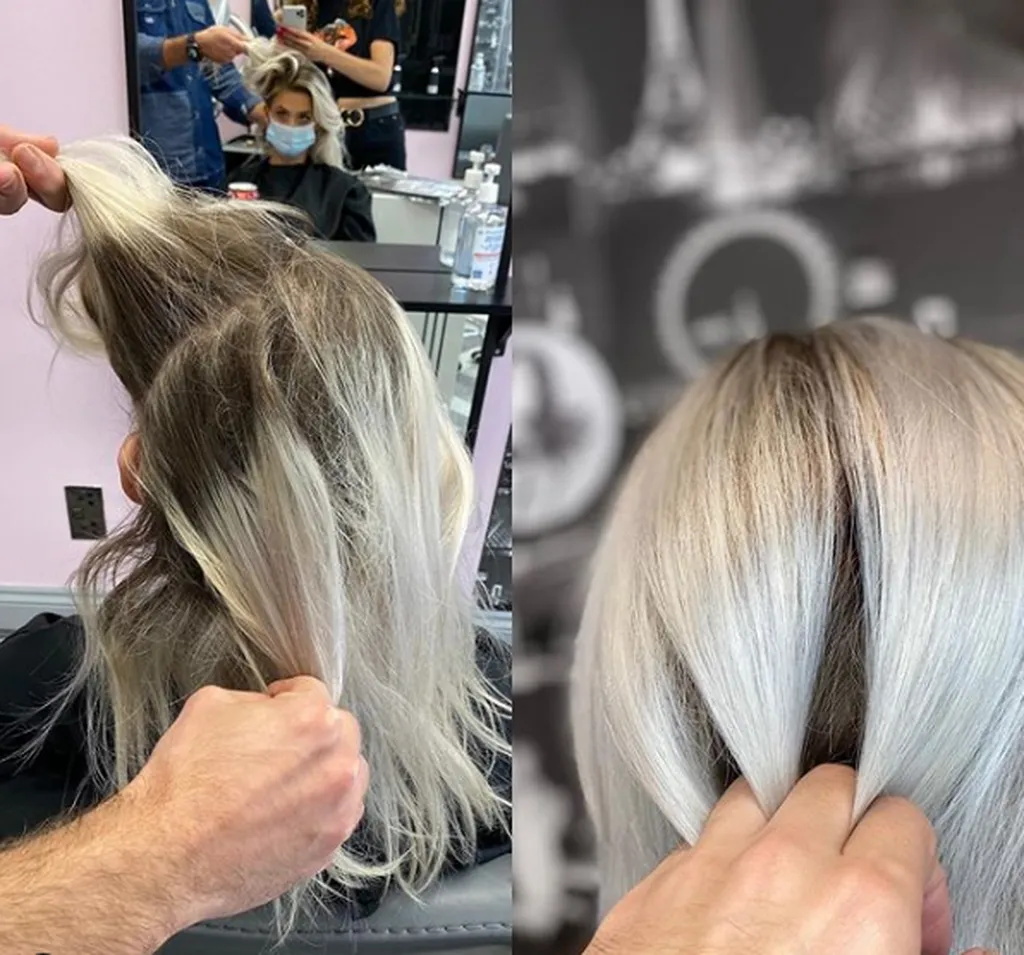 M. A. Salon