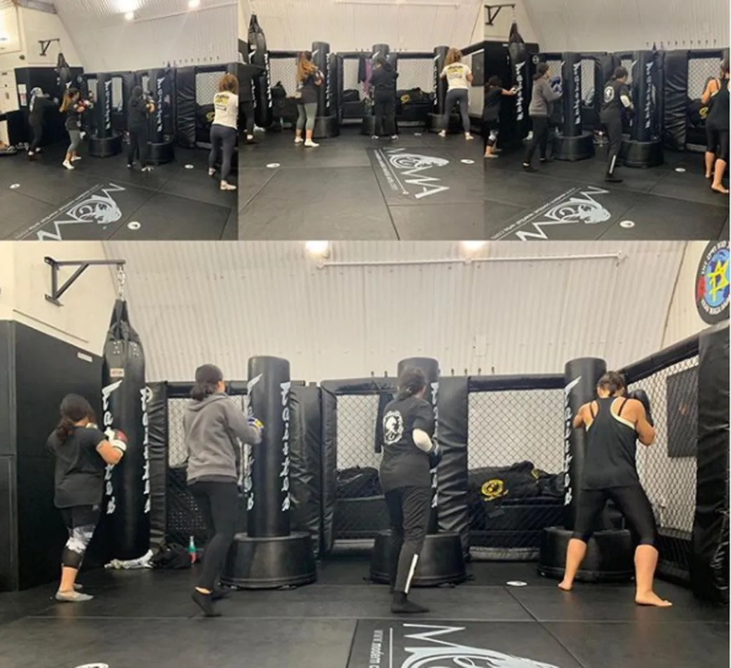 MCMA - Modern Combat Martial Arts