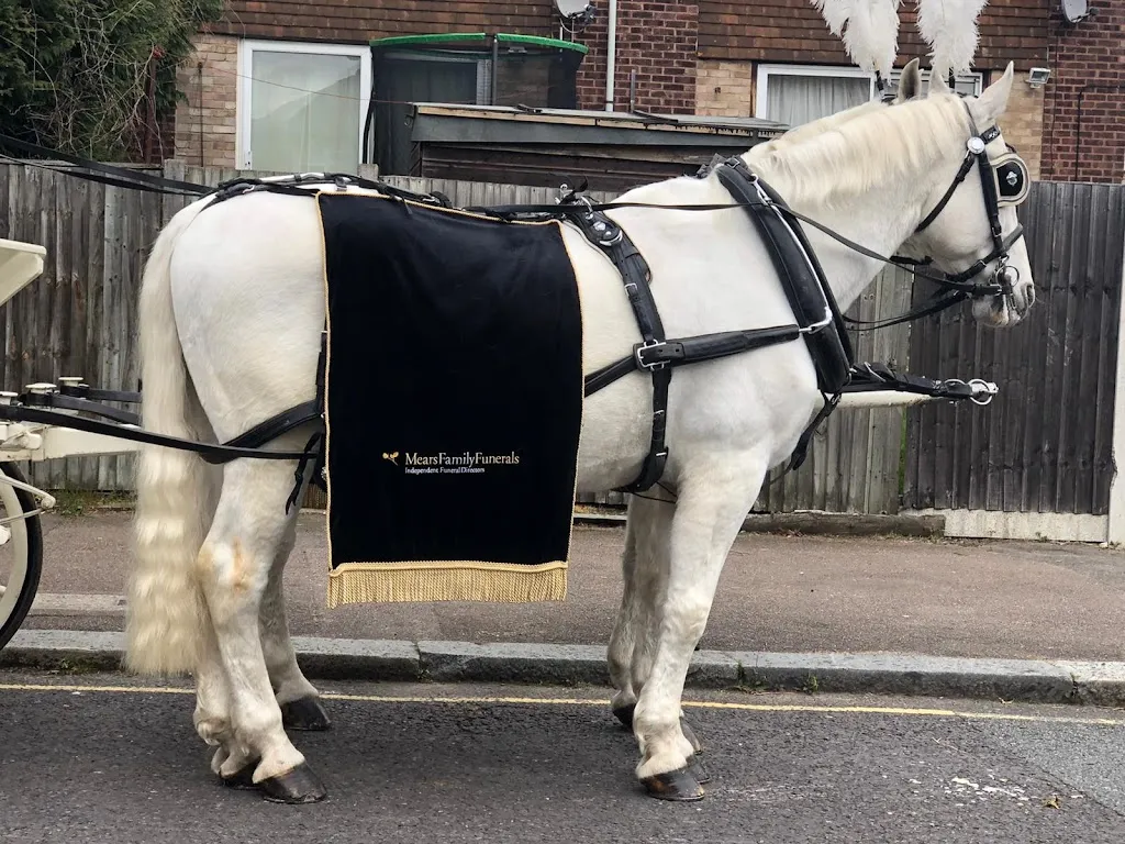Mears Family Funerals Orpington