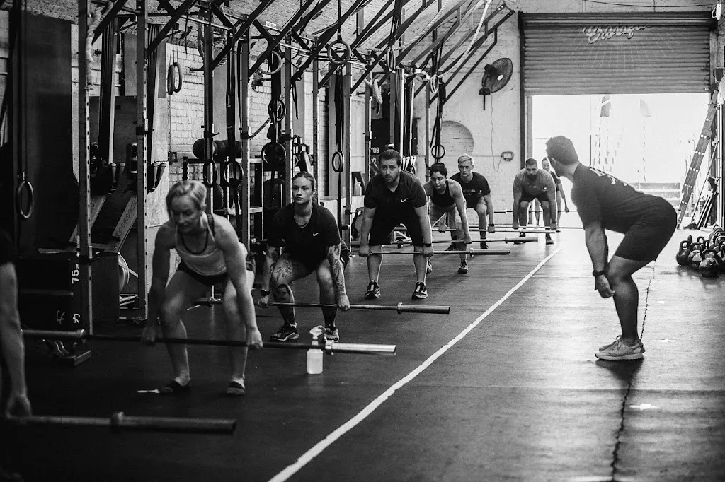 Momentum Training