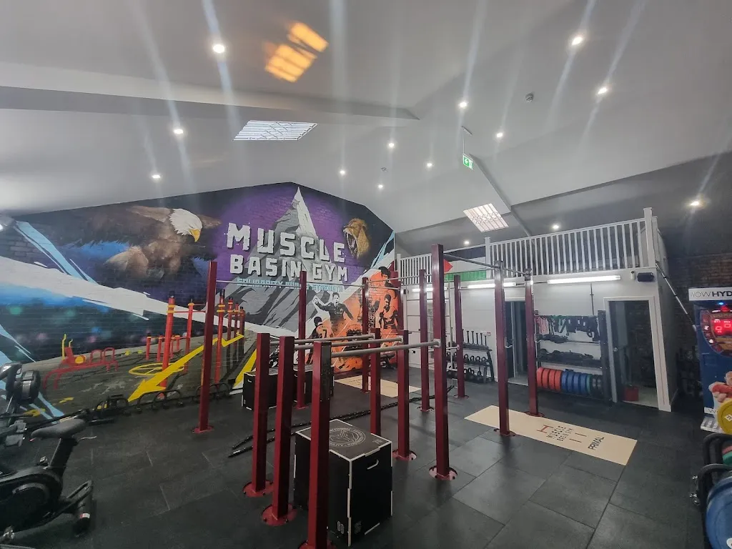Muscle Basin Gym