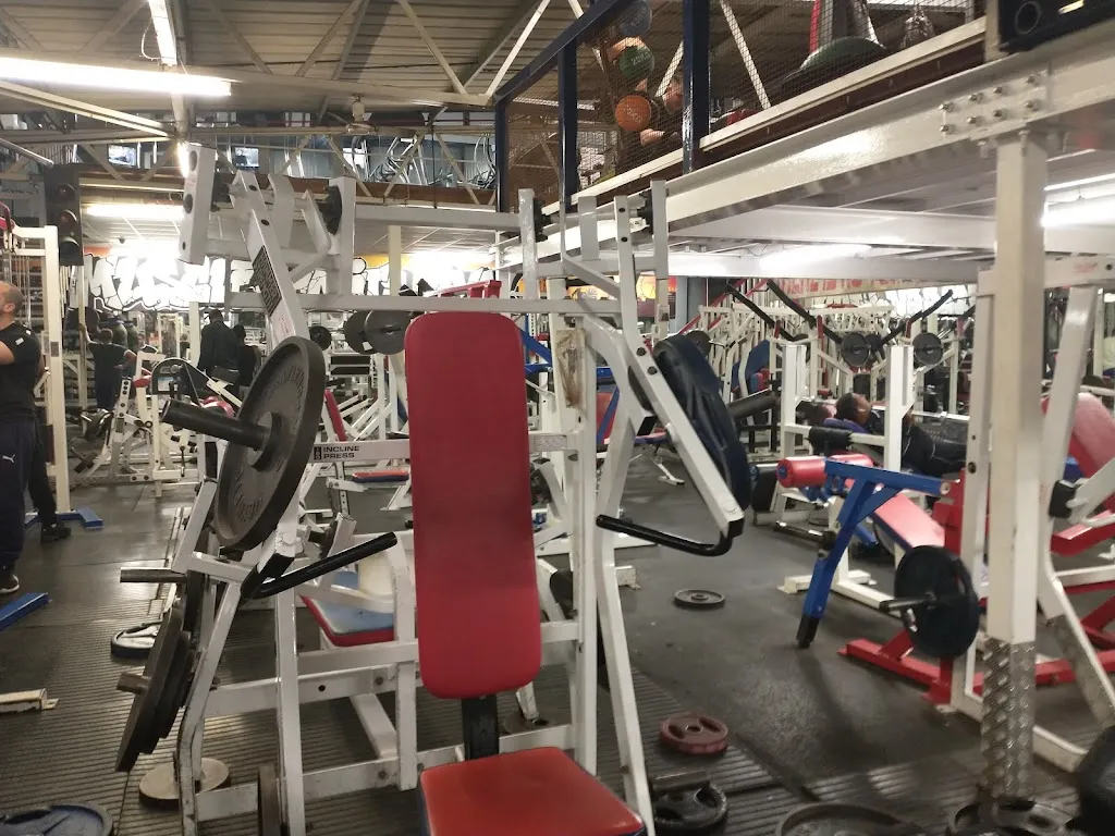 Muscle Limit Gym