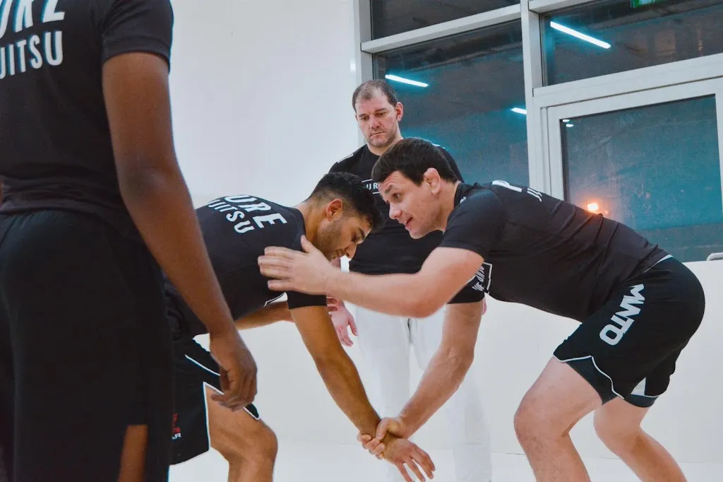 PURE JIUJITSU