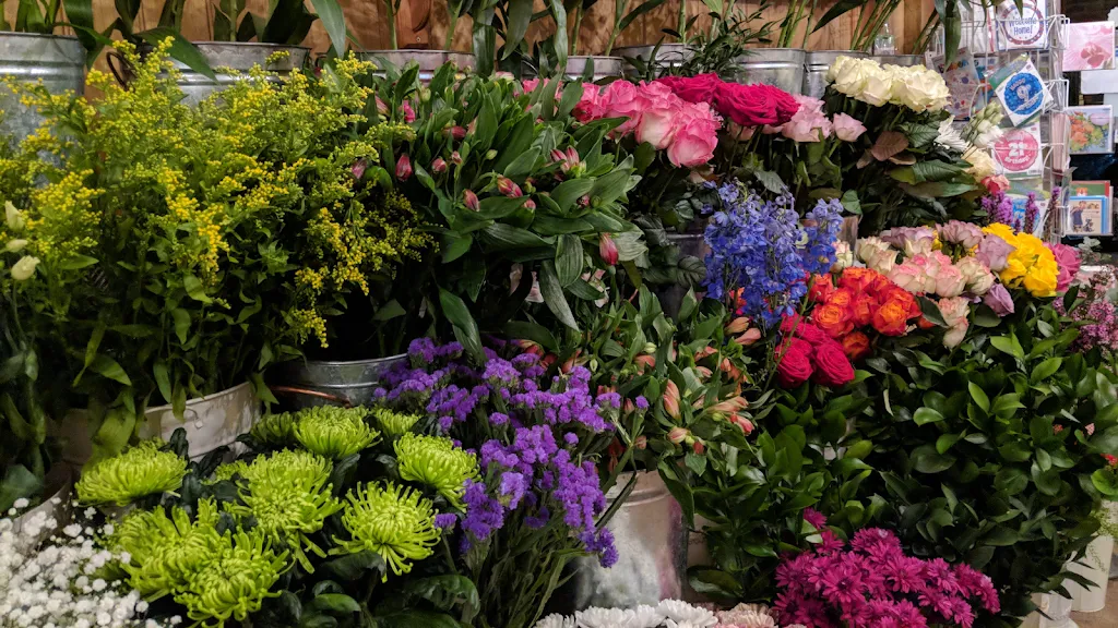 Queen’s Park Flowers