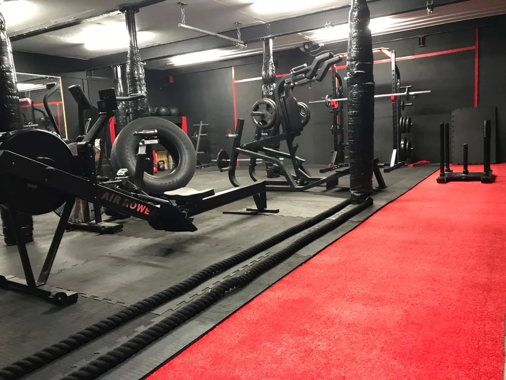 Raptors Muay Thai , Bjj & Fitness