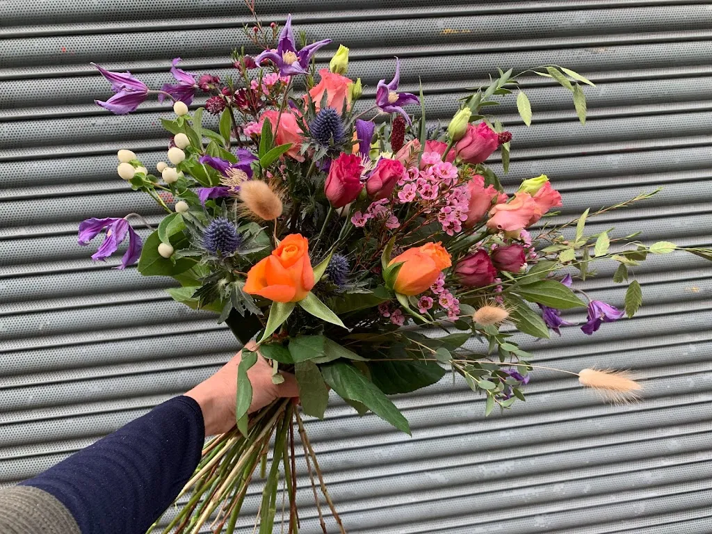 Rewild Flowers