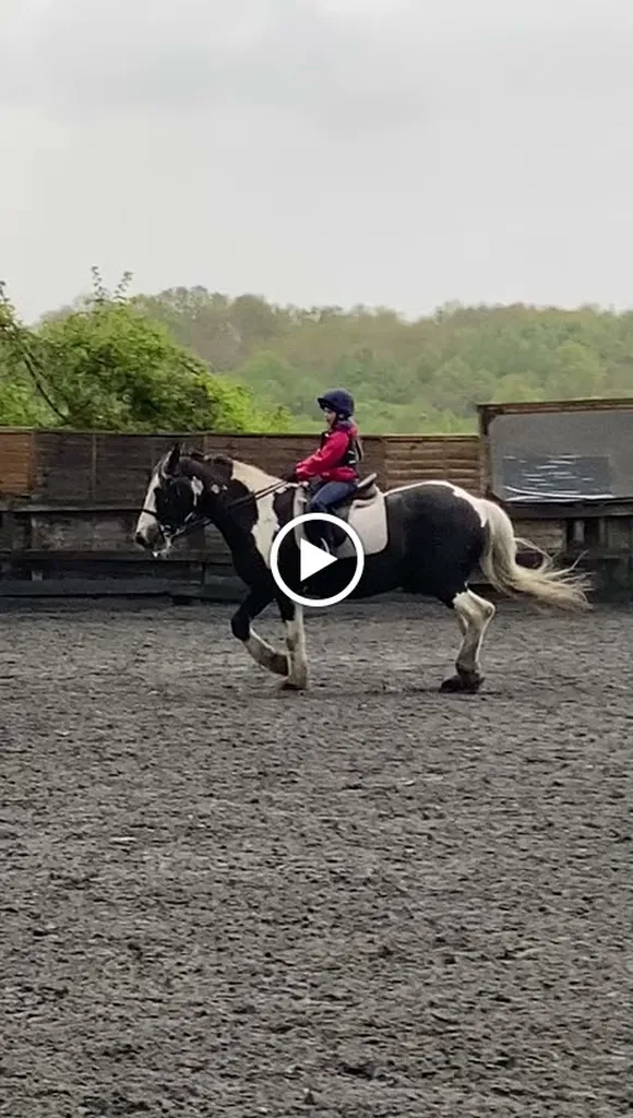 Riding School with Sarah Williams