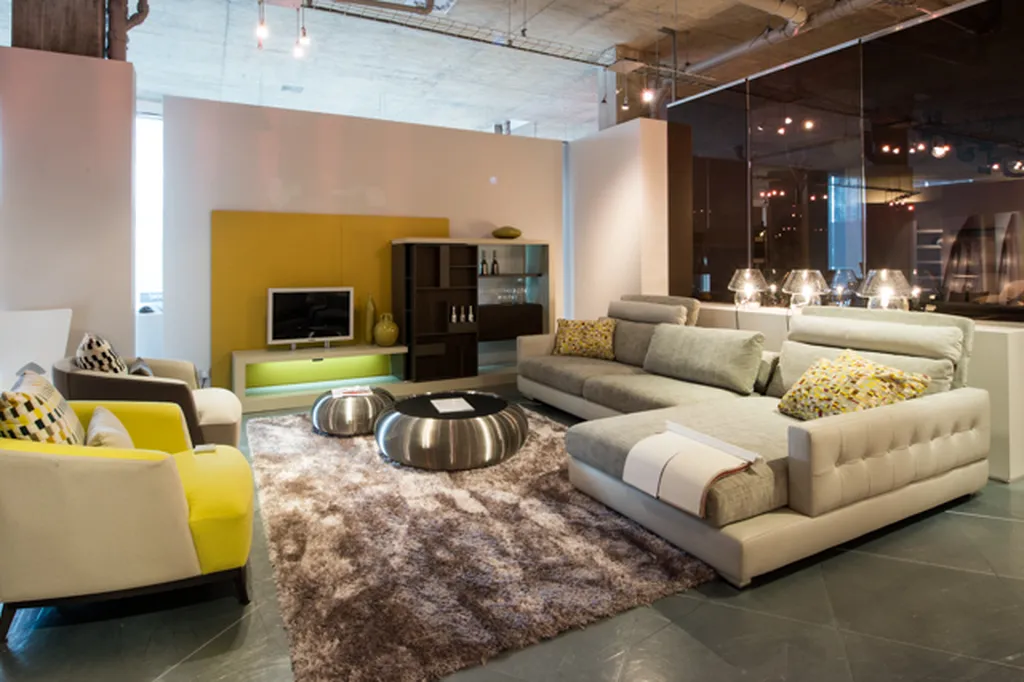 Roche Bobois