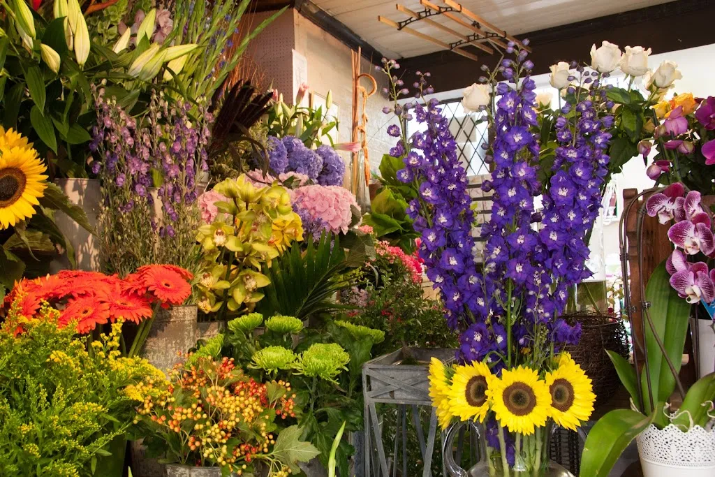 Roses Florist Of Chislehurst