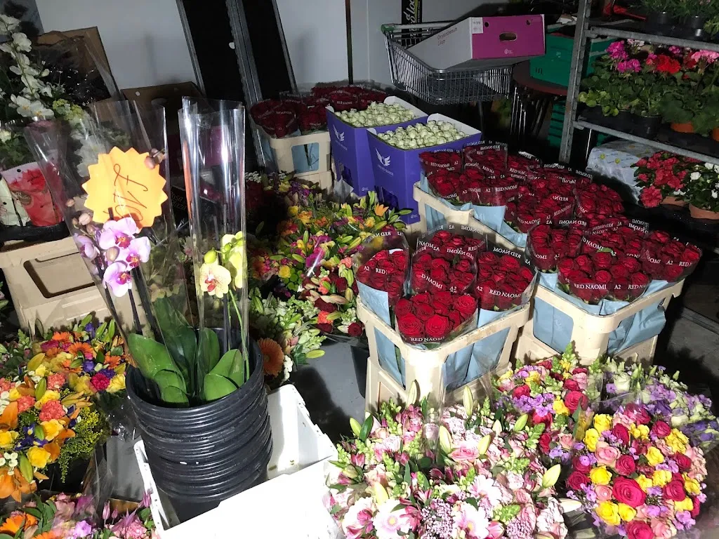 Roses247