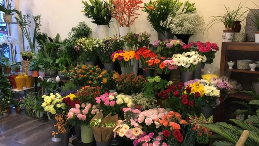 Salmon Florist