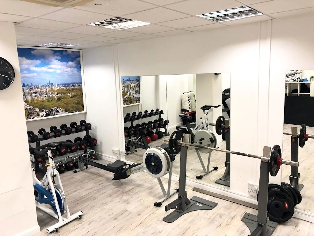 Scandinavian Fitness