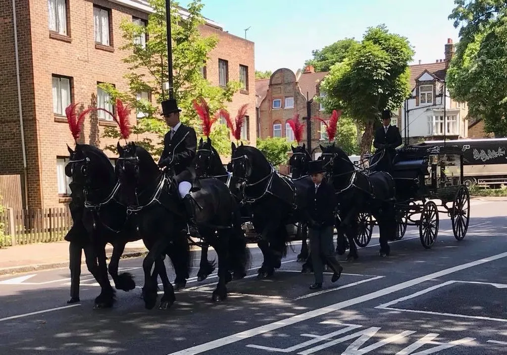 Selsdon & District Funeral Service