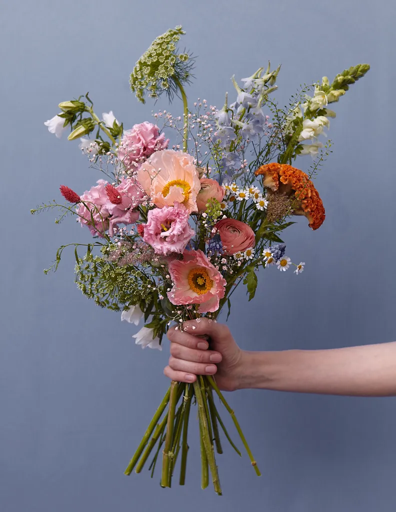 stems wilder