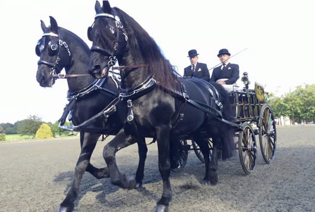 T CRIBB & SONS Funeral Directors & Monumental Masons Upminster | Cranham | Emerson Park | Romford