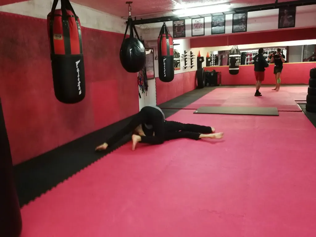 Team-Underground MMA