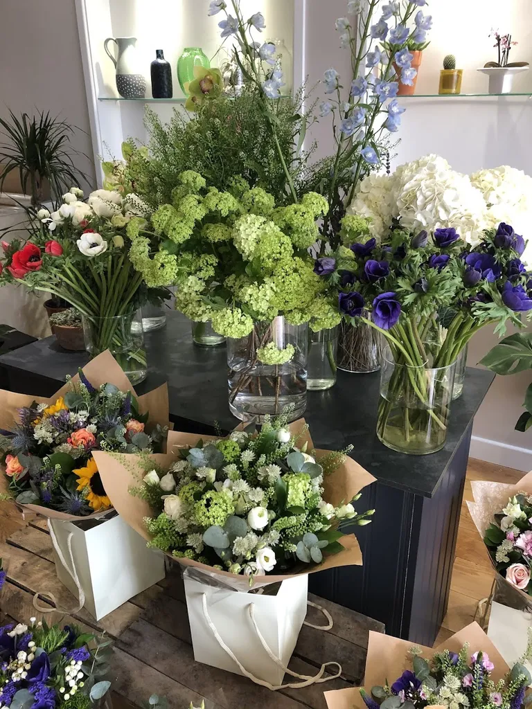 The Bloom