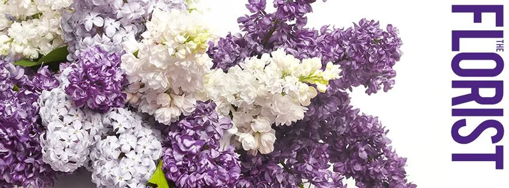 The Florist Magazine