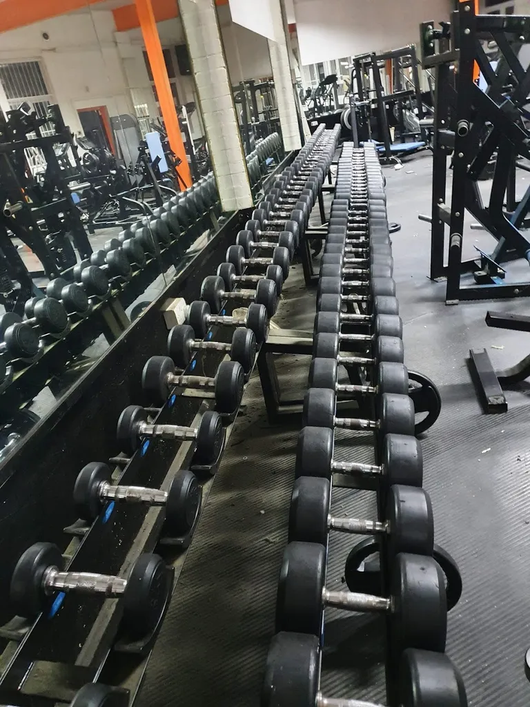 The Gym Factory
