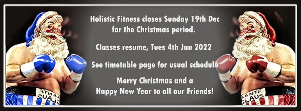 The Holistic Fitness Studios