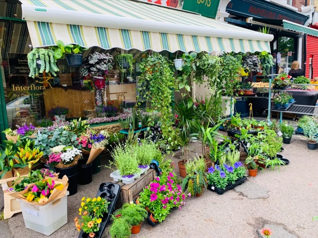 The Holly Tree Florist virtual shop online only