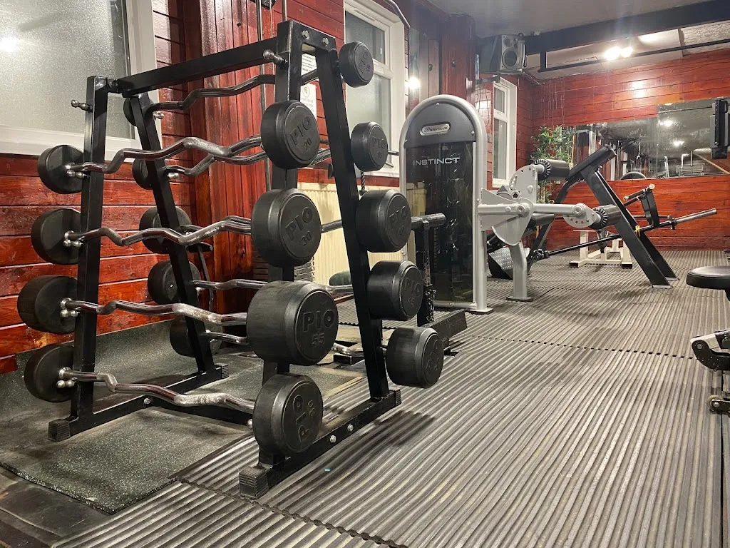 THE SPARTAN GYM