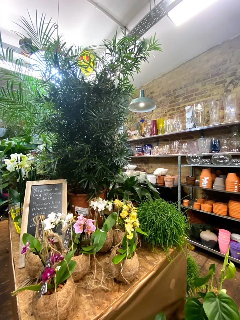 The Zumrut Artistic Florist