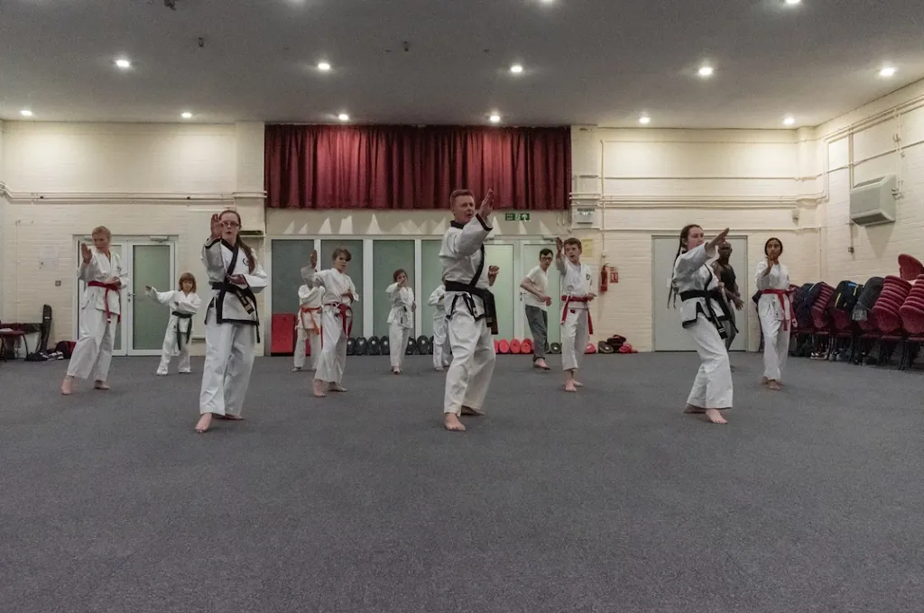 Tiger Academy Tang Soo Do
