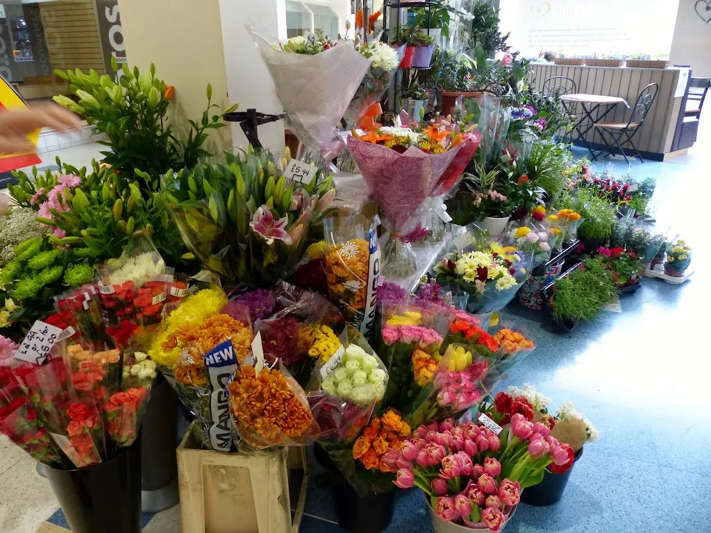 Time For Flowers