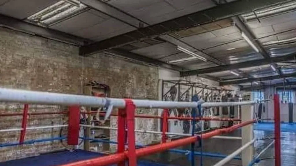 TM Boxing