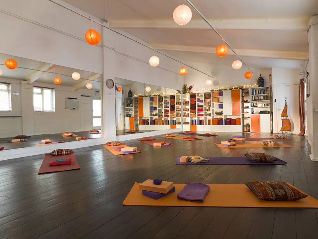 Tru Dru Yoga & Mental Health Clinic