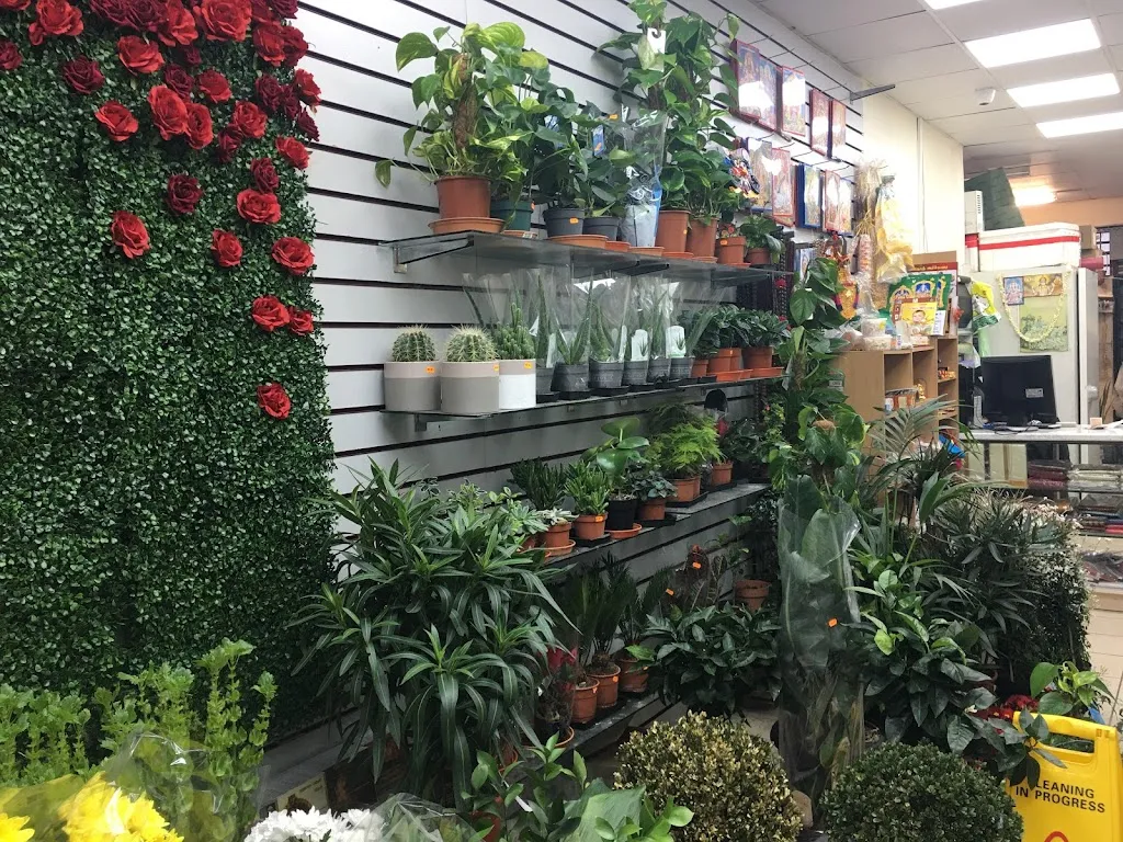 Valli’s UK Ltd