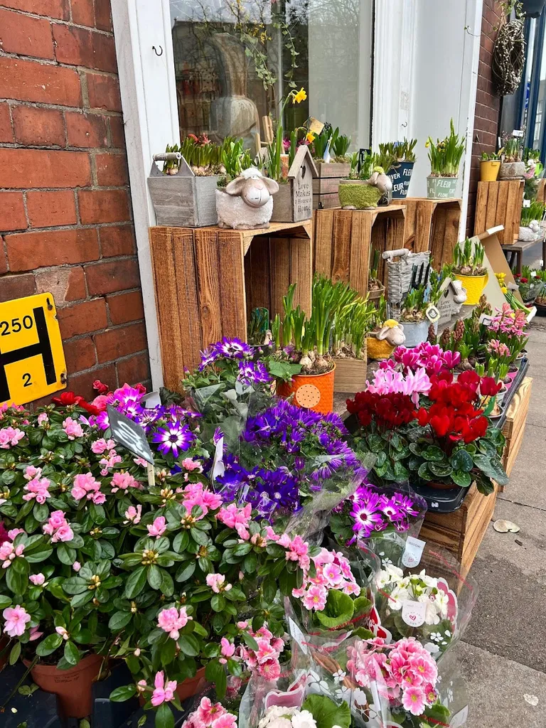 Village Flowers Highgate N6