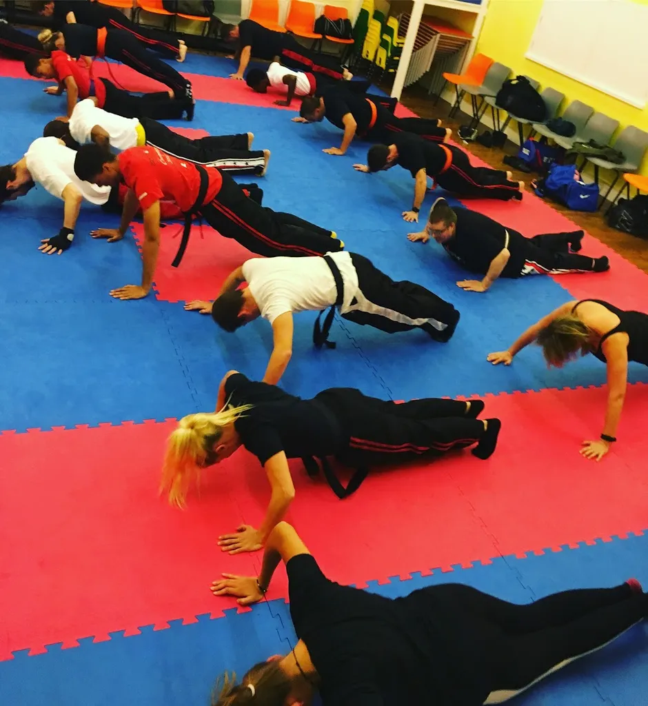 Warrior Martial Arts