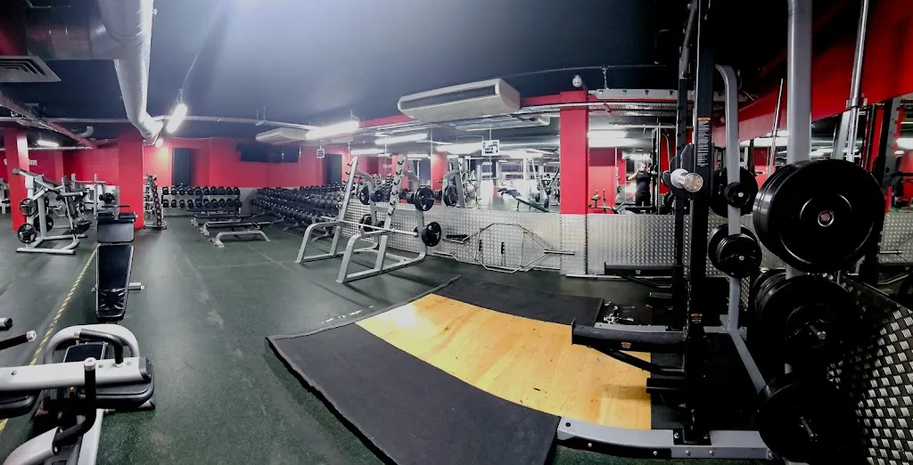 Wembley Fitness - Gym, Sauna, Classes, Personal Trainer