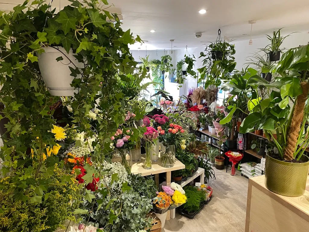 Your Local Florist
