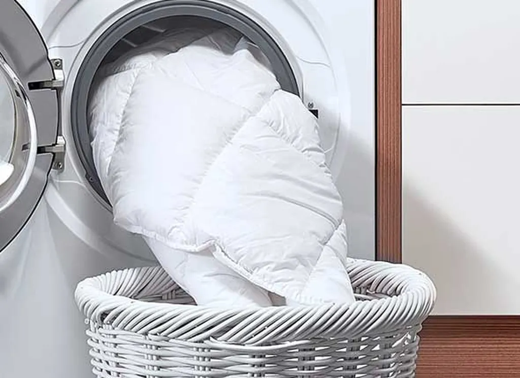 ASN Dry Cleaners & Alterations