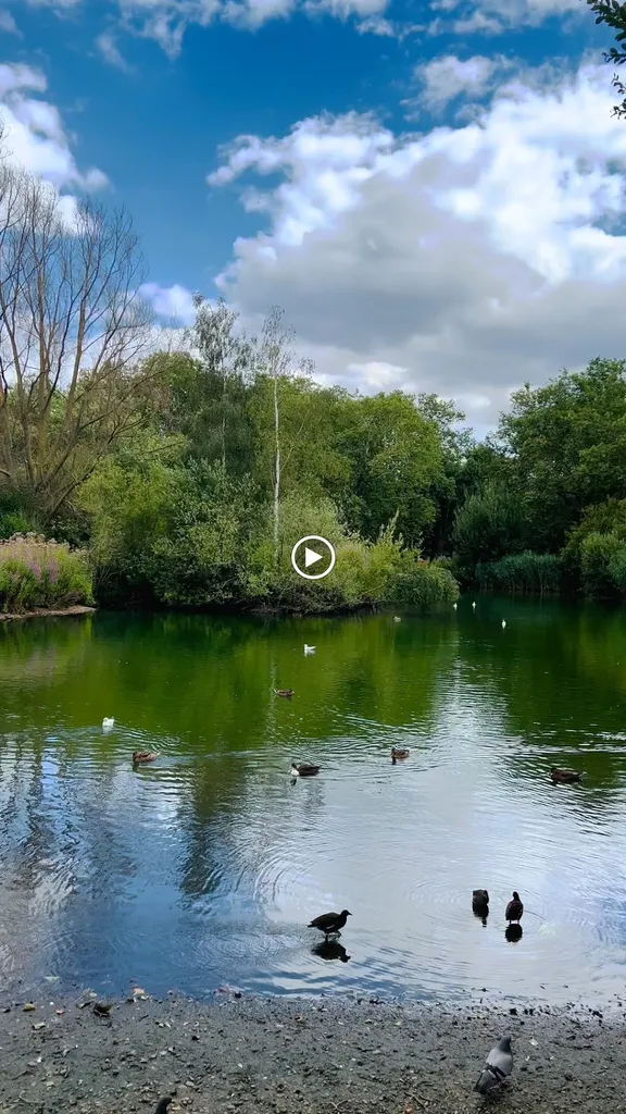 Barnes Pond (Stop BD)