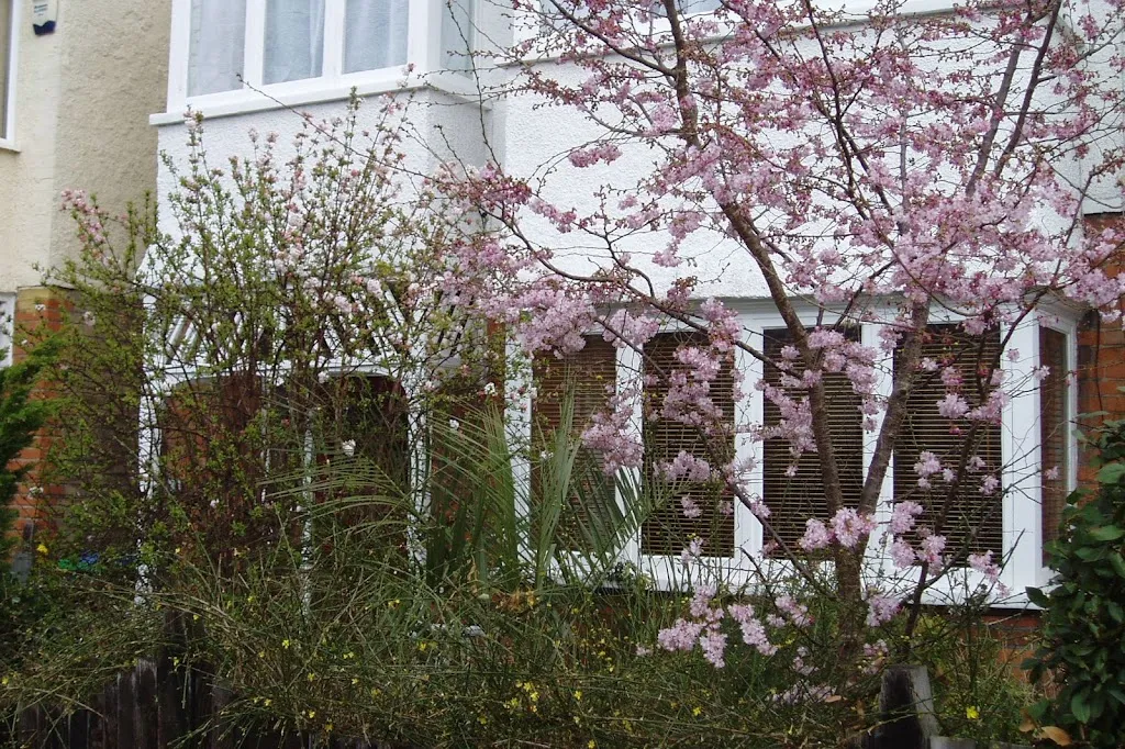 Bed and Breakfast in Barnes