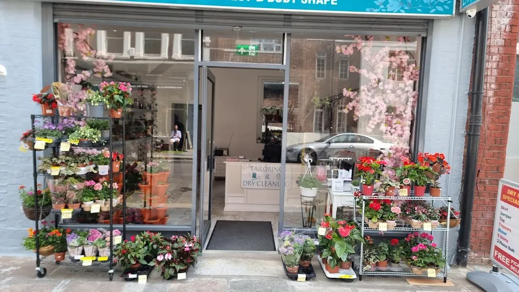 Blossoms Dry Cleaners