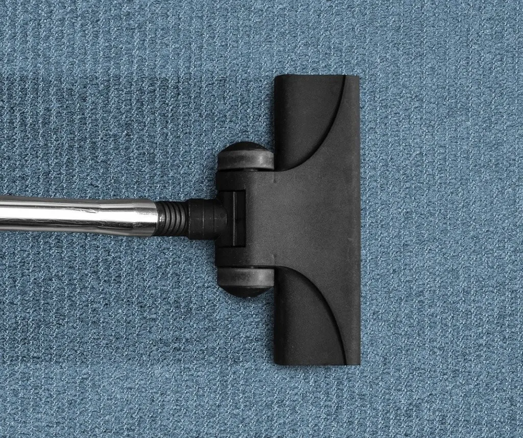 CytoPlanet Carpet & Floor Cleaning