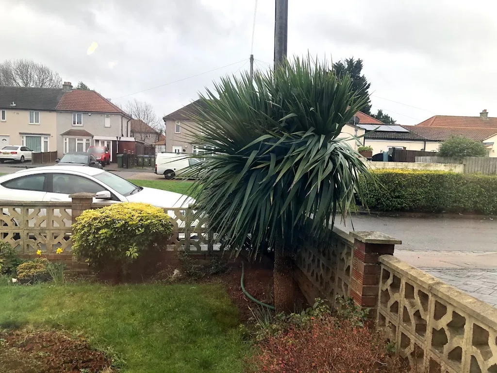 Dunkery Road / Mottingham Road (Stop R)