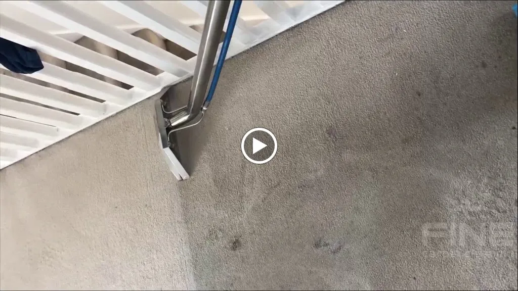 Fine Carpet Cleaning London