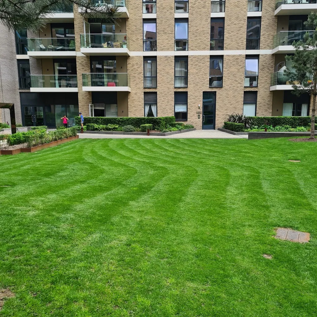 Hamond Court