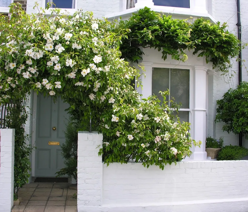 Hurlingham Bed & Breakfast