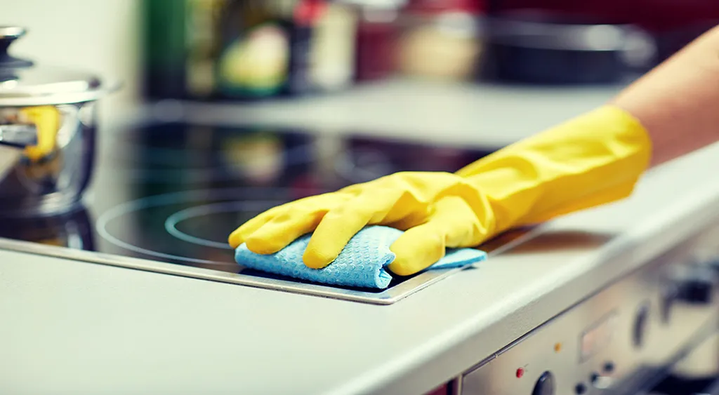 IVS CLEANING