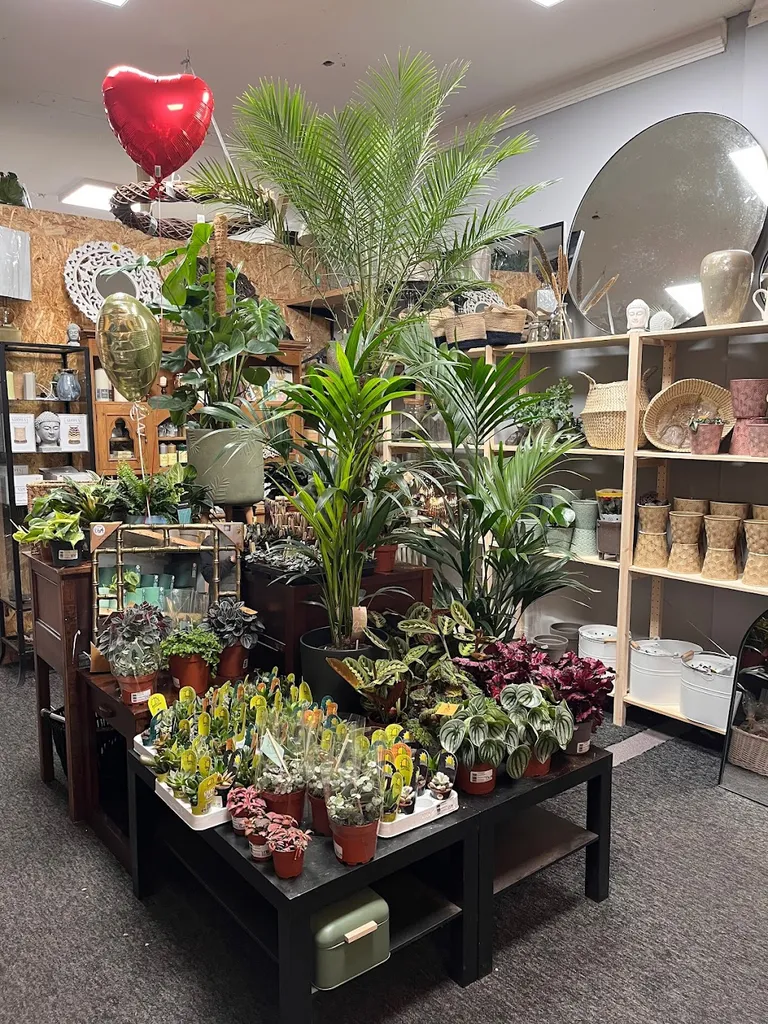 Lancaster's Home & Garden
